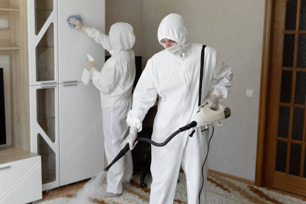 Best Mold Removal Process  in Celina, TX