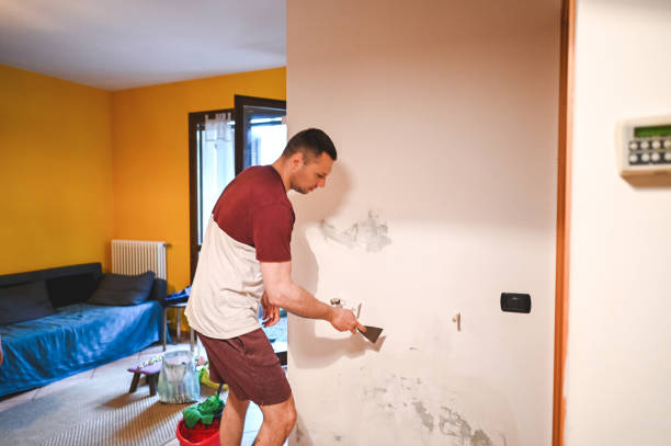 Best Water Damage Restoration  in Celina, TX